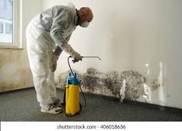 Best Comprehensive Air Testing for Mold Contaminants  in South Chicago Heights, IL